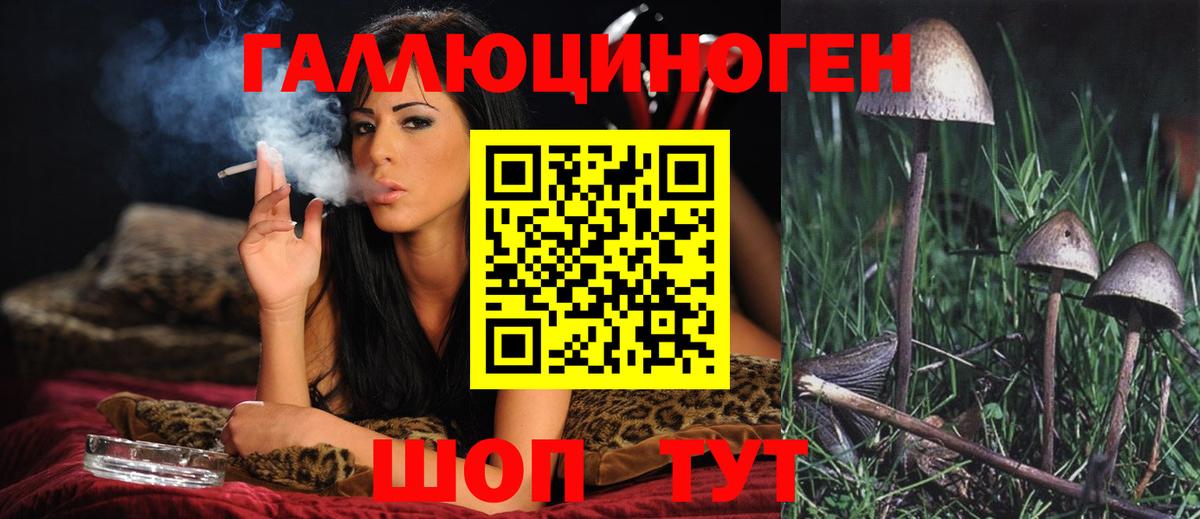 Псилоцибиновые грибы мухоморы  Псилоцибиновые грибы GOLDEN TEACHER  Новочебоксарск  Вход с VPN 
